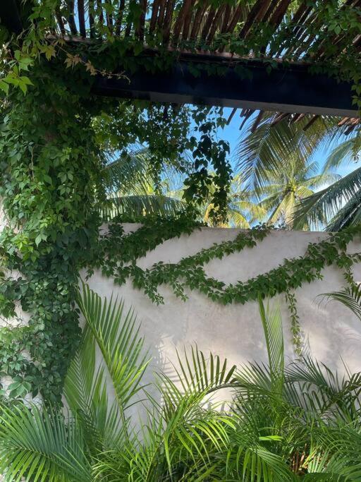 Villa Casa Tulup Sisal Exterior foto